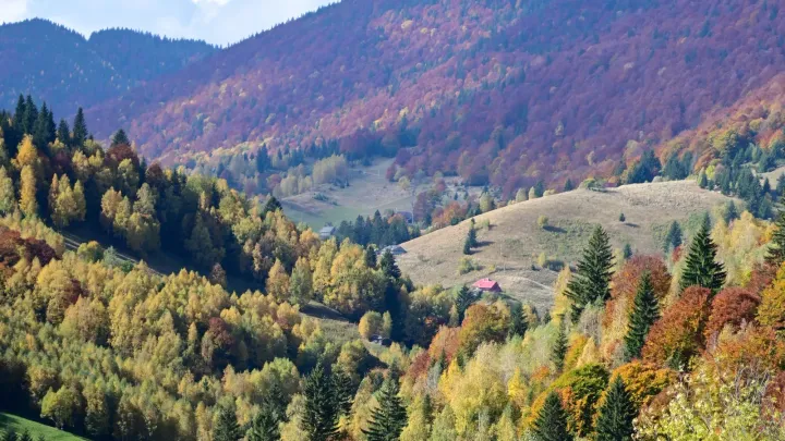 Colinas y bosques de los Cárpatos con colores de otoño y un pequeño pueblo en el valle