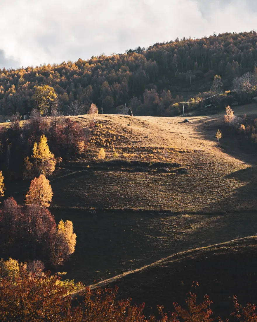Sunlit hills and golden trees in the Romanian countryside in autumn