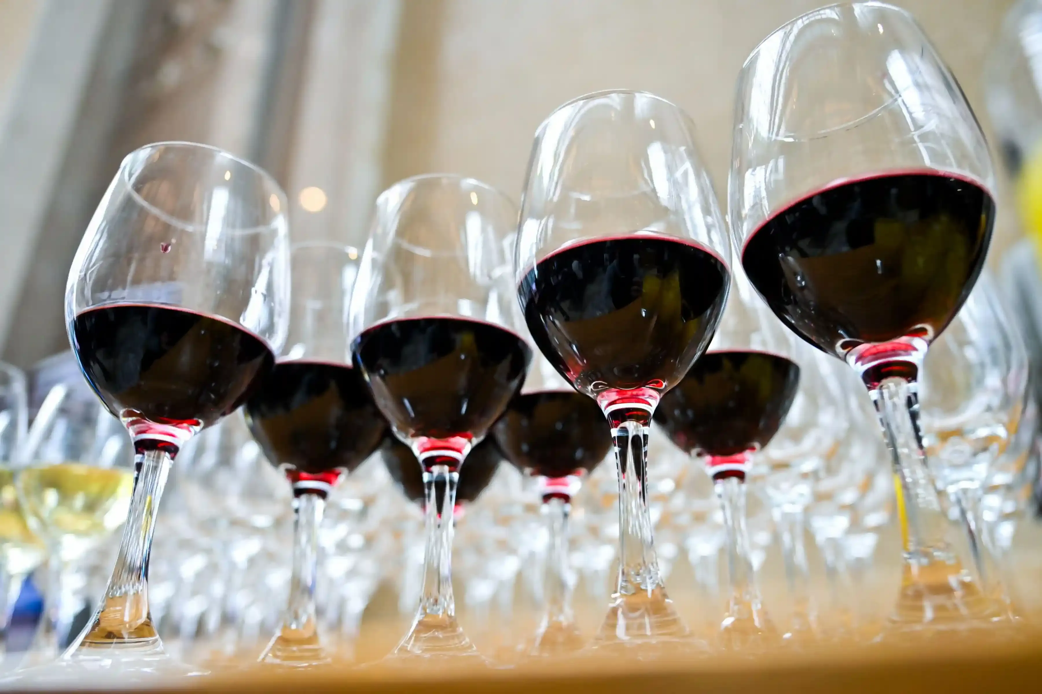 Row of glasses of red wine ready for a tasting