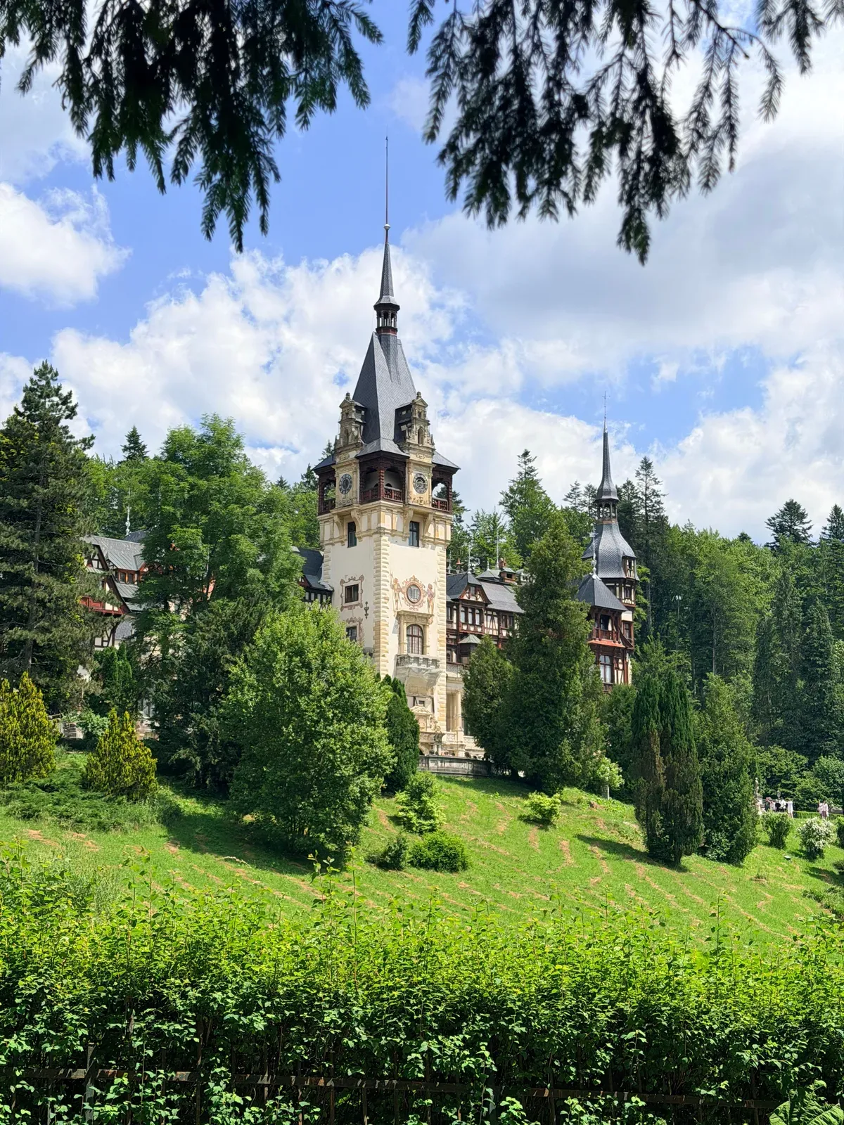 Peleș Castle seen between pine branches in Sinaia
