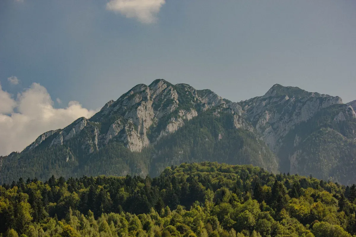 The jagged limestone ridge of Piatra Craiului above a pine forest